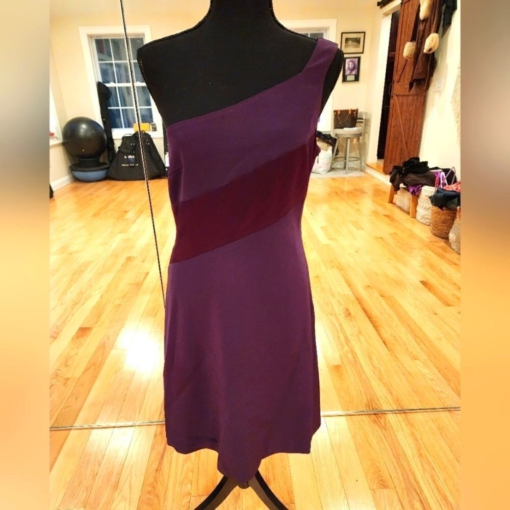 Tahari Plum, one-shoulder Cocktail Dress size 10